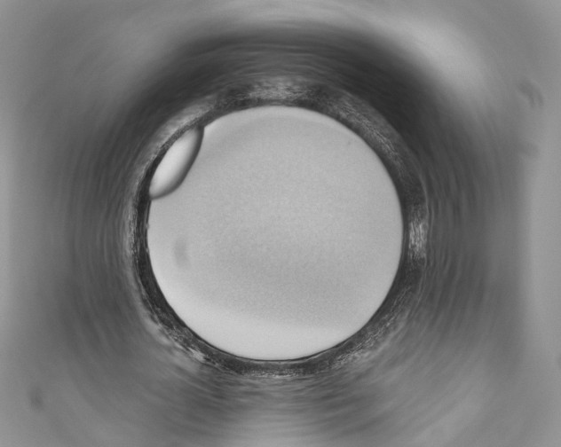 X0000110680724200907241043