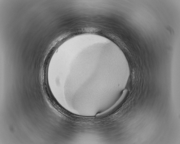 X0000110680726200907241043
