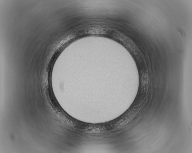 X0000110680727200907241043