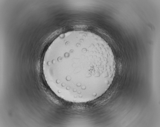 X0000110680729200907241043