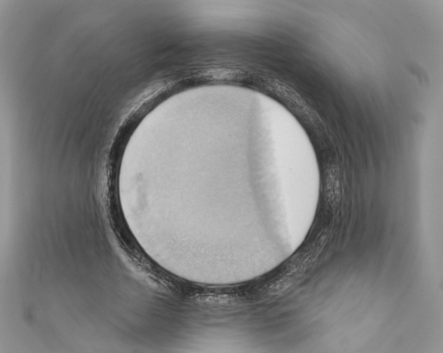 X0000110680730200907241043