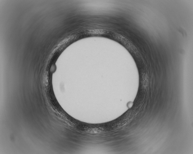 X0000110680731200907241043
