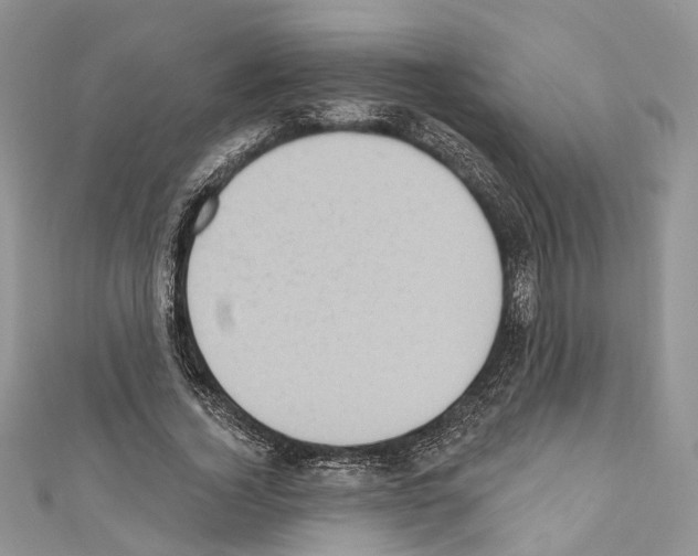 X0000110680732200907241043
