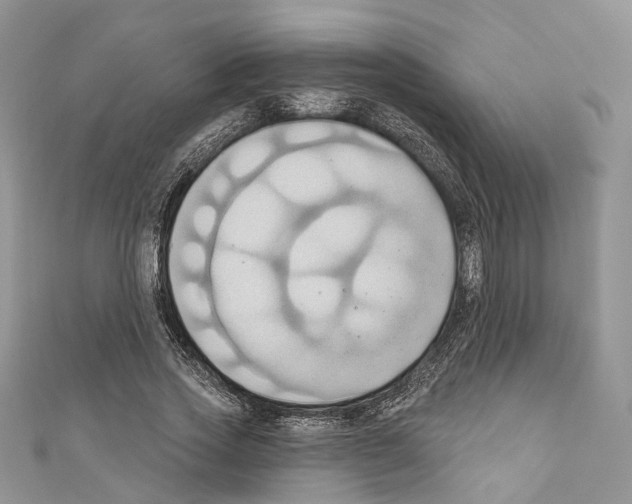 X0000110680733200907241043
