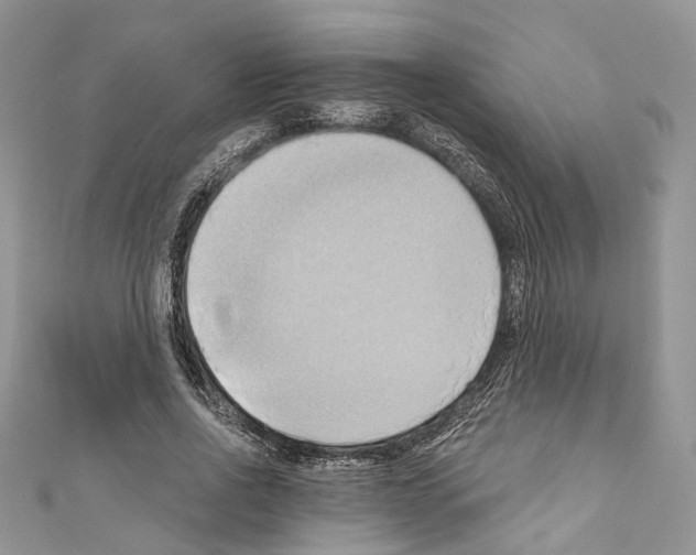 X0000110680734200907241043