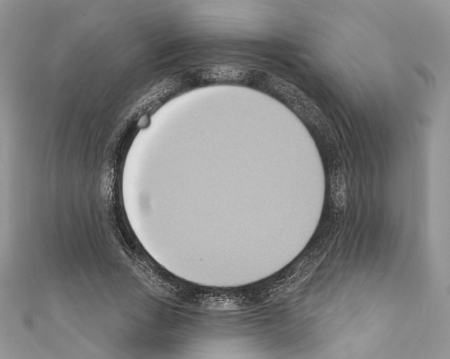 X0000110680735200907241043