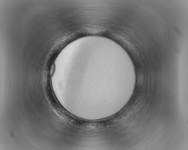 X0000110680736200907241043