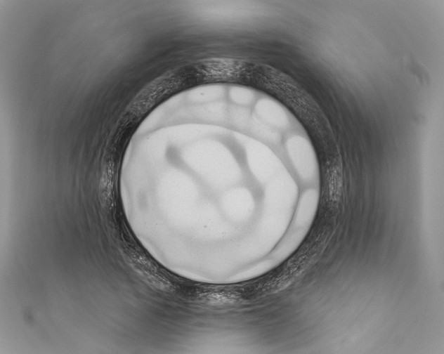 X0000110680737200907241043
