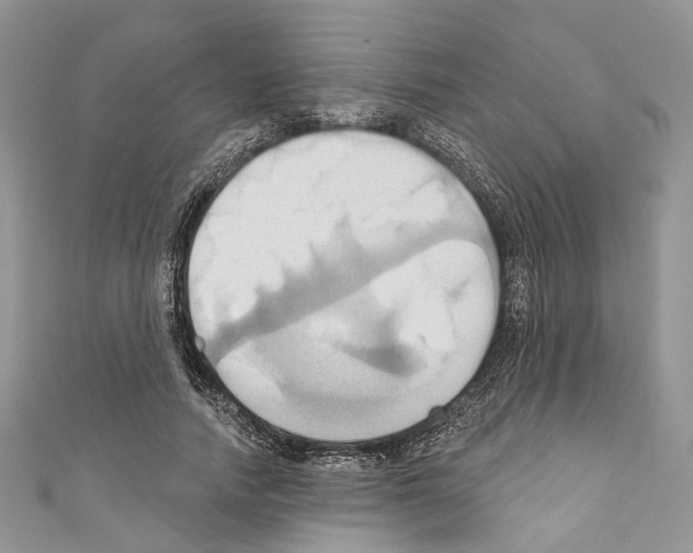 X0000110680738200907241043