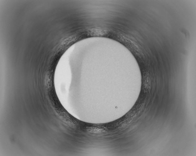 X0000110680743200907241043