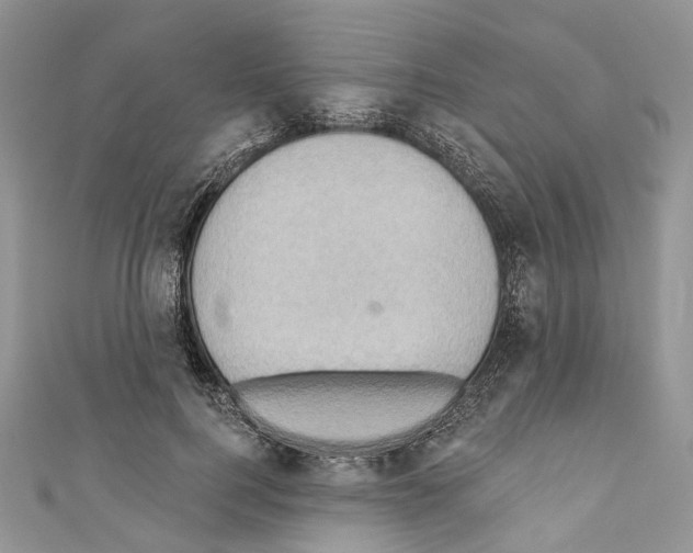 X0000110680744200907241043
