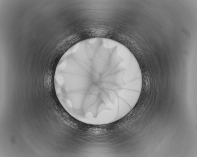 X0000110680745200907241043