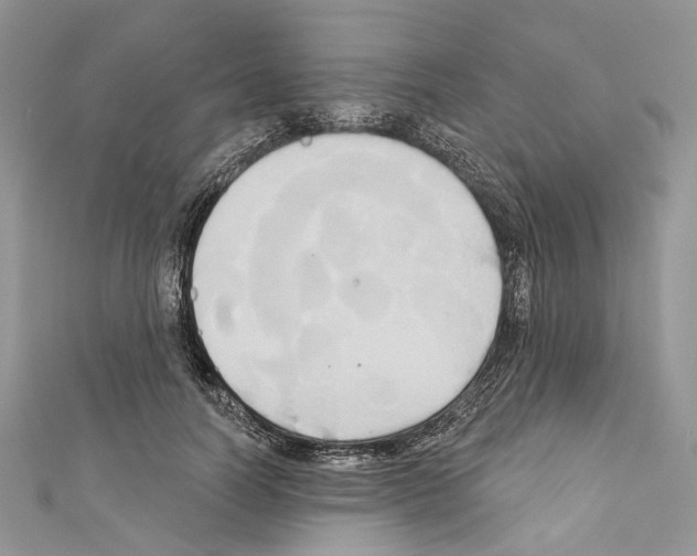X0000110680746200907241043