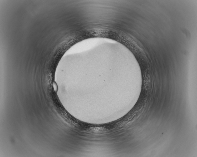 X0000110680748200907241043