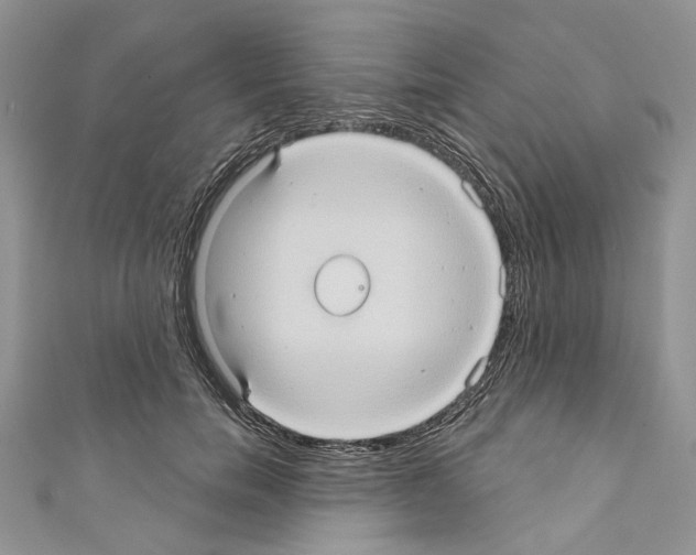 X0000110680750200907241043