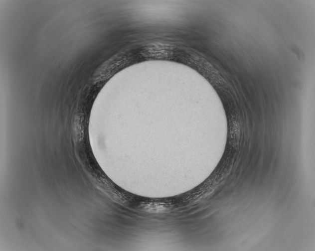 X0000110680751200907241043