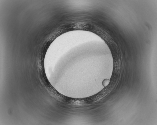 X0000110680755200907241043