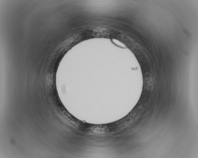 X0000110680756200907241043