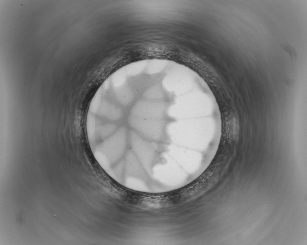 X0000110680757200907241043