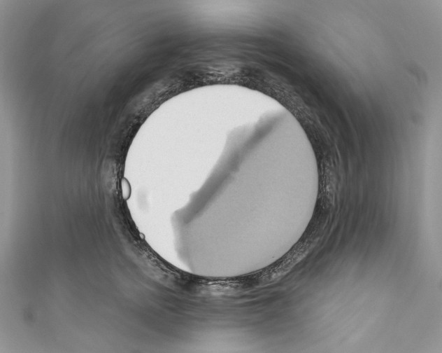 X0000110680758200907241043