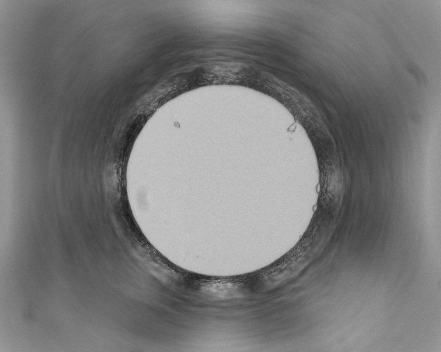 X0000110680759200907241043