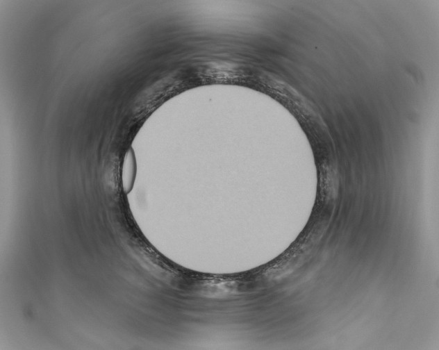 X0000110680760200907241043
