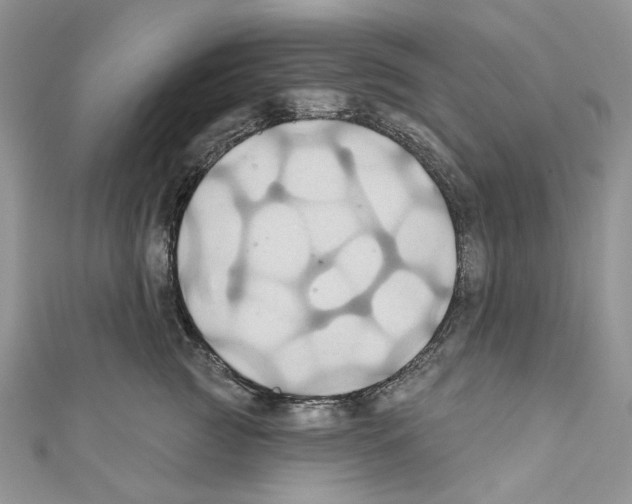 X0000110680761200907241043