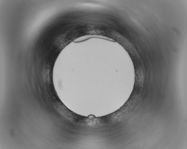 X0000110680762200907241043