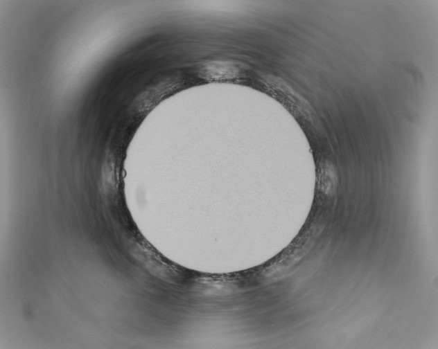 X0000110680763200907241043