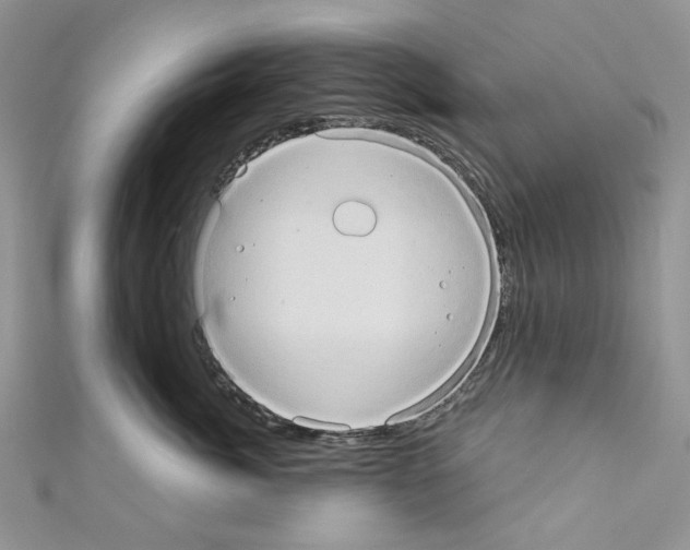 X0000110680764200907241043