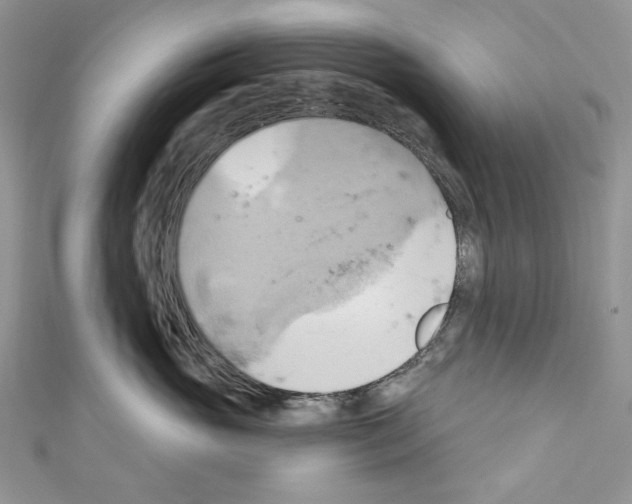 X0000110680765200907241043