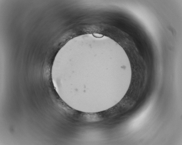 X0000110680767200907241043