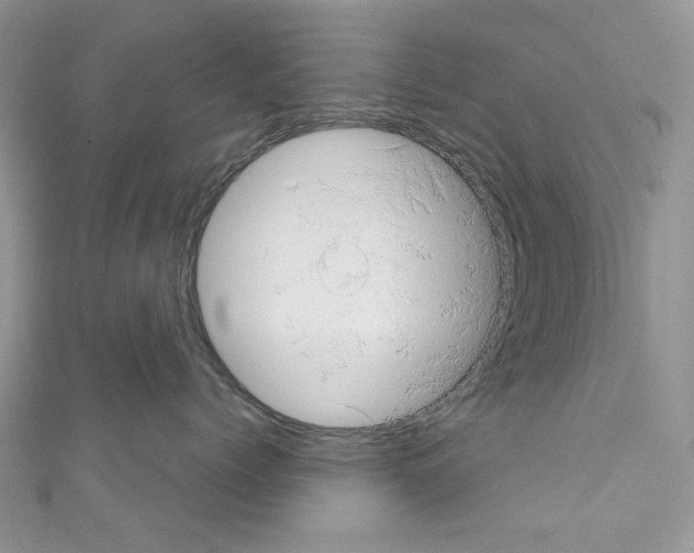 X0000110680768200907241043