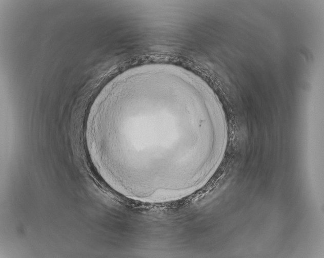X0000110680769200907241043