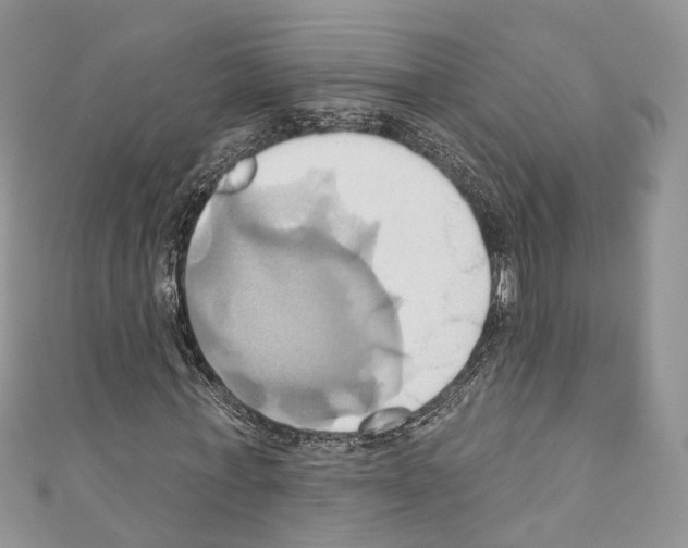 X0000110680771200907241043