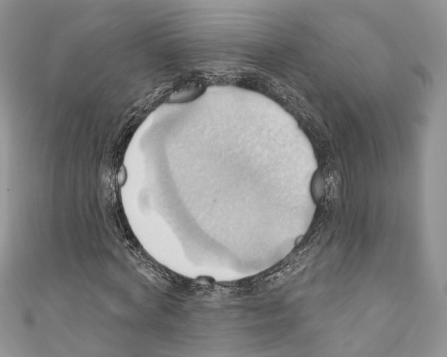 X0000110680772200907241043