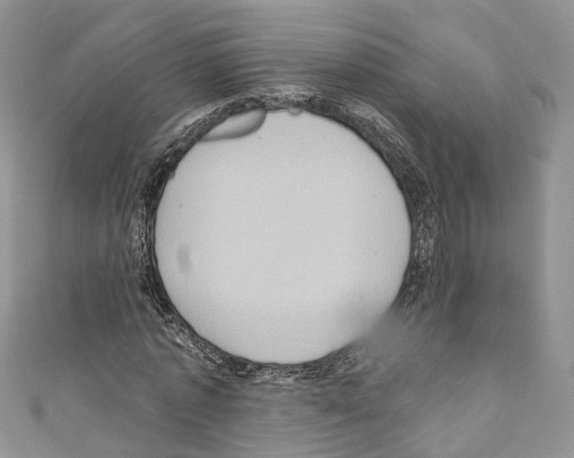 X0000110680773200907241043