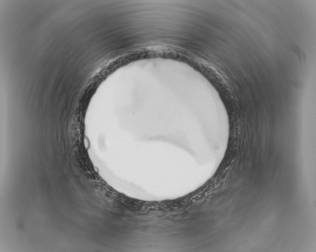 X0000110680776200907241043