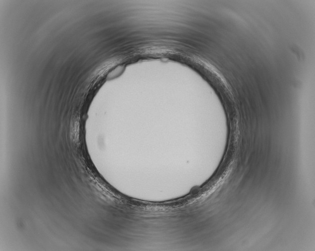 X0000110680777200907241043