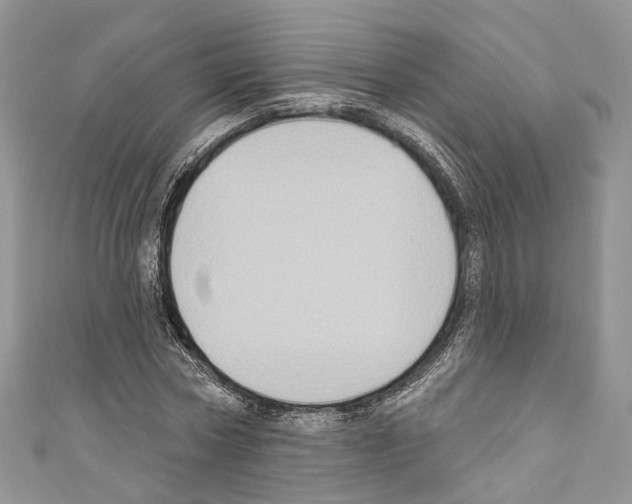 X0000110680778200907241043