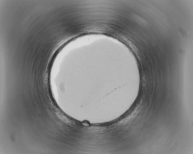 X0000110680779200907241043