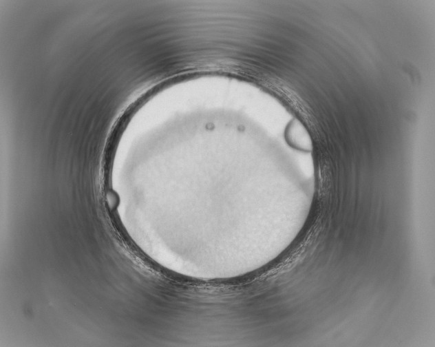 X0000110680780200907241043