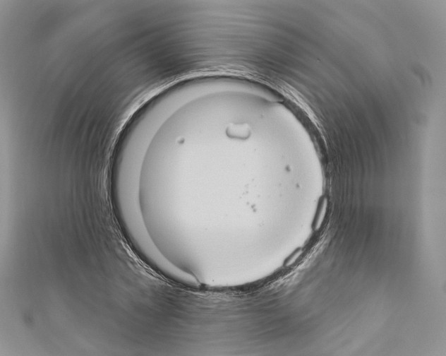 X0000110680781200907241043