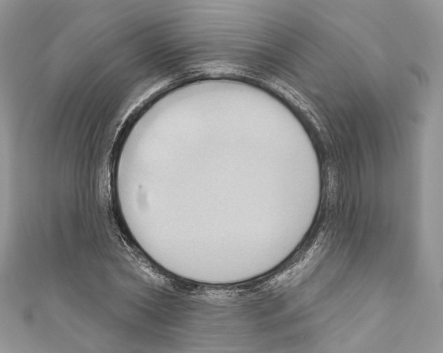 X0000110680782200907241043