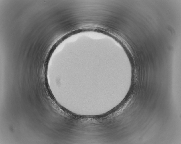 X0000110680783200907241043