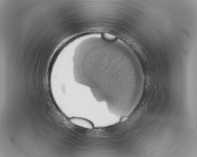 X0000110680784200907241043
