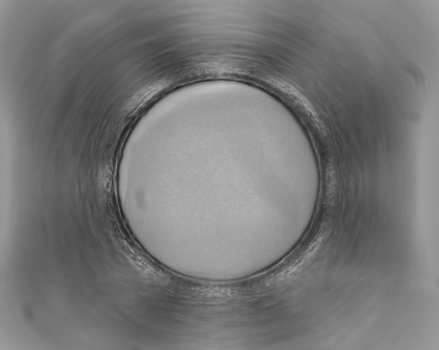X0000110680785200907241043