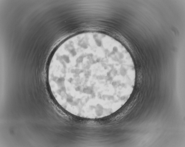 X0000110680787200907241042