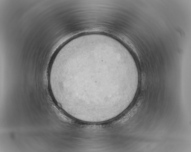 X0000110680789200907241042