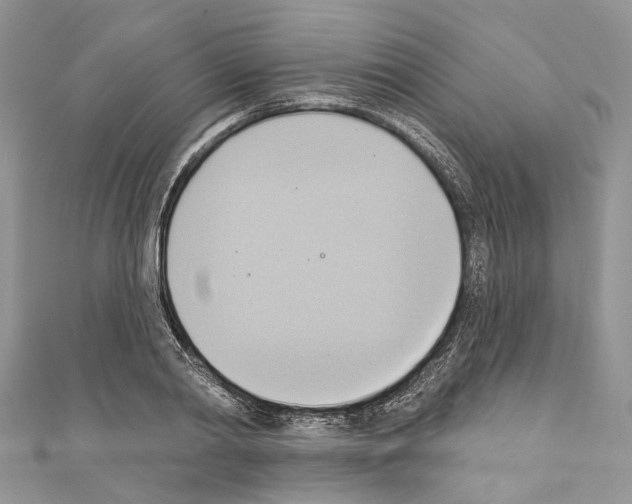 X0000110680790200907241042